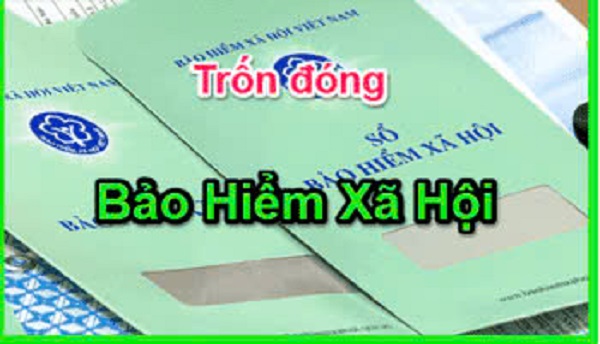 11.12.2024 - Xử lý hành vi trốn đóng BHXH.jpg