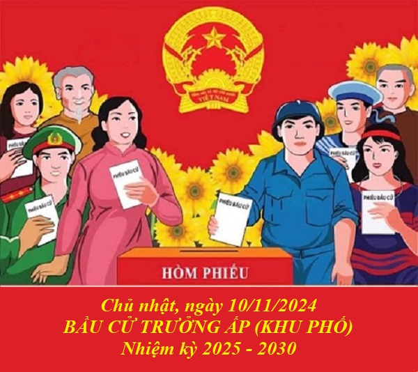 30.10.24 bau cu truong ap khu pho.jpg