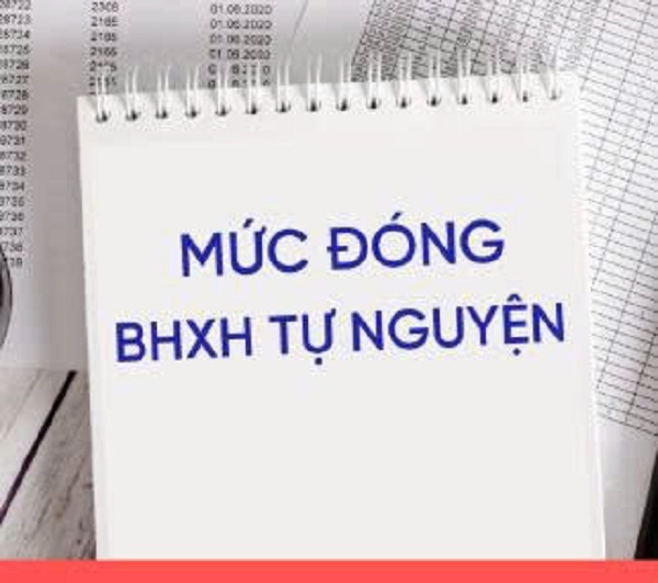 4.6.2025- chính sách đối với người tham gia BHXH tự nguyện.jpg