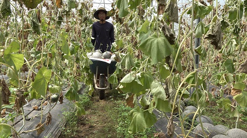 thu hoat duoi loui trong nha xa 20.9.2023 huy Binh Hoa  (1).jpg1.jpg